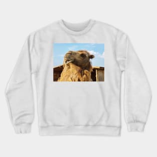 Portrait of Bactrian Camel Crewneck Sweatshirt